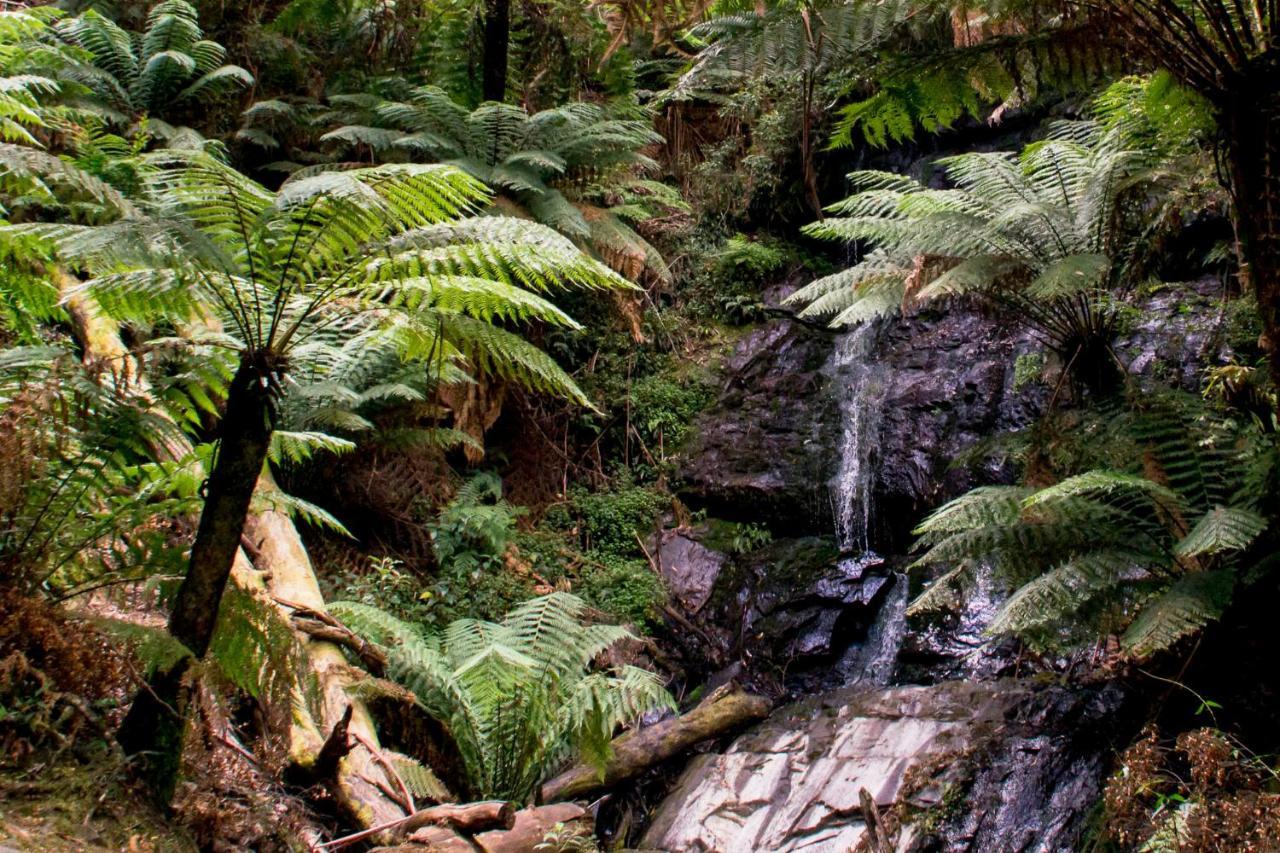 Yarram Holiday Park Eksteriør bilde